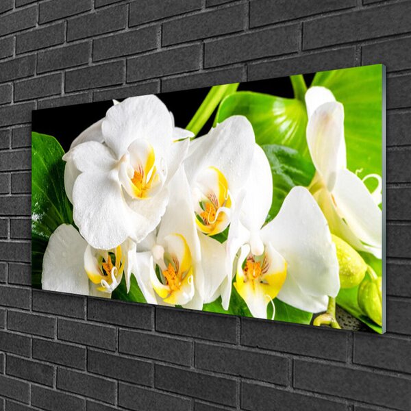 Skleneny obraz Orchidea kvety príroda 100x50 cm 2 Prívesky