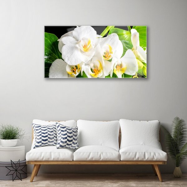 Skleneny obraz Orchidea kvety príroda 100x50 cm 2 Prívesky