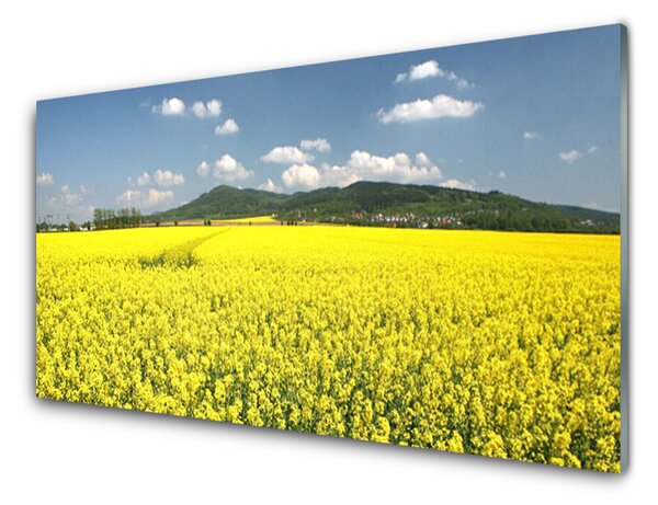 Skleneny obraz Pole lúka príroda repky olejnej 100x50 cm 2 Prívesky