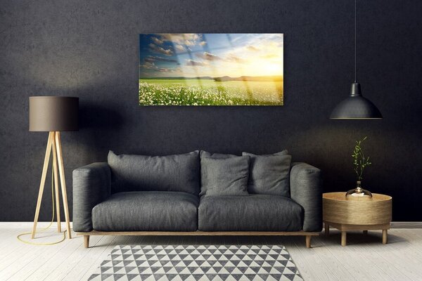 Skleneny obraz Lúka kvety príroda 100x50 cm 2 Prívesky