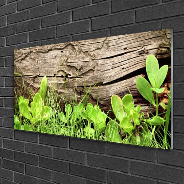 Skleneny obraz Tráva listy kvety 100x50 cm 2 Prívesky