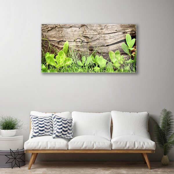 Skleneny obraz Tráva listy kvety 100x50 cm 2 Prívesky