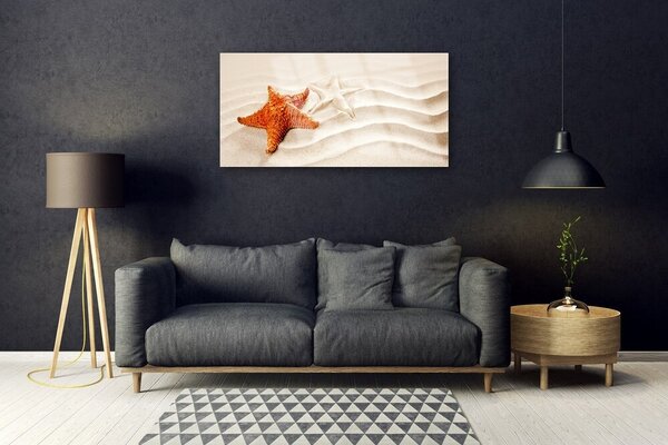 Skleneny obraz Hviezdice na piesku pláž 100x50 cm 2 Prívesky