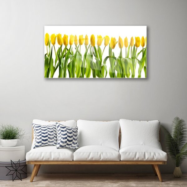 Skleneny obraz Tulipány kvety príroda 100x50 cm 2 Prívesky