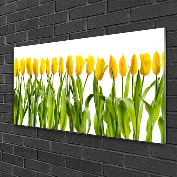 Skleneny obraz Tulipány kvety príroda 100x50 cm 2 Prívesky