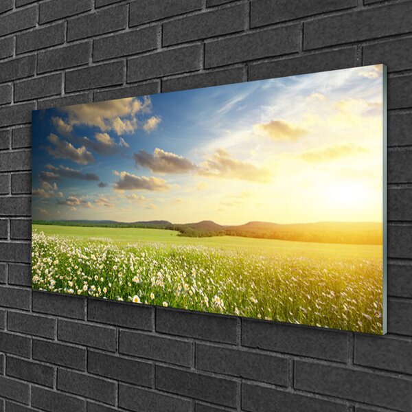 Skleneny obraz Lúka kvety príroda 100x50 cm 2 Prívesky