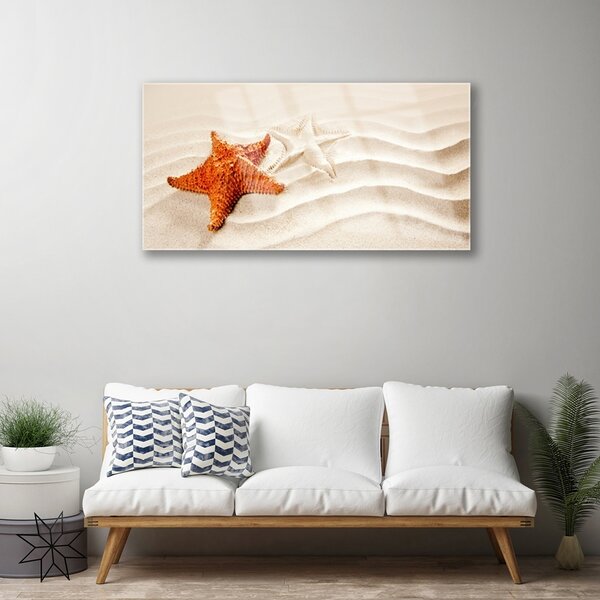 Skleneny obraz Hviezdice na piesku pláž 100x50 cm 2 Prívesky