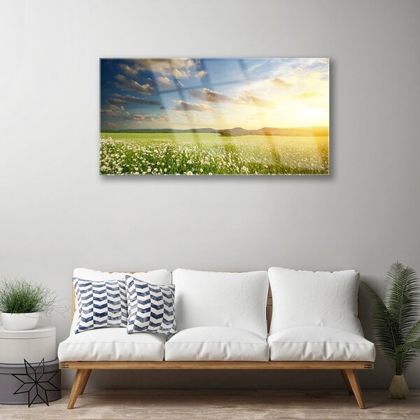 Skleneny obraz Lúka kvety príroda 100x50 cm 2 Prívesky