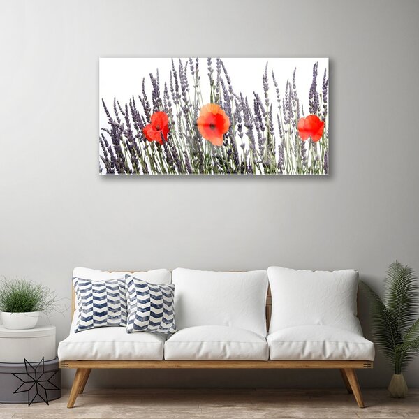 Skleneny obraz Kvety maky pole trávy 100x50 cm 2 Prívesky