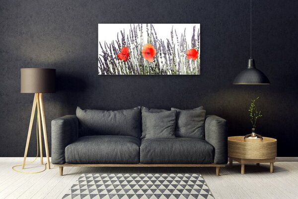 Skleneny obraz Kvety maky pole trávy 100x50 cm 2 Prívesky