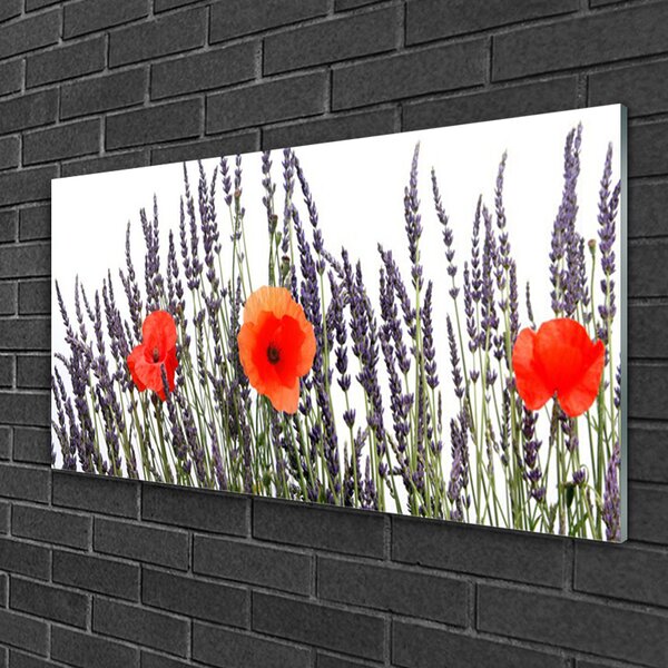 Skleneny obraz Kvety maky pole trávy 100x50 cm 2 Prívesky