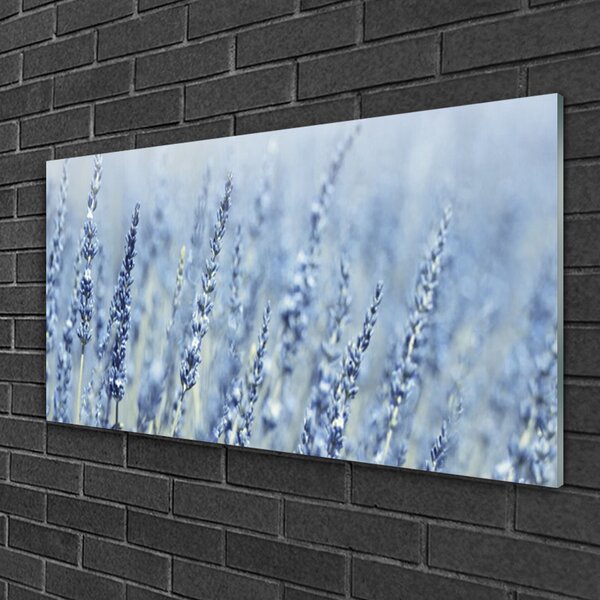 Skleneny obraz Kvety klasy lúka príroda 100x50 cm 2 Prívesky