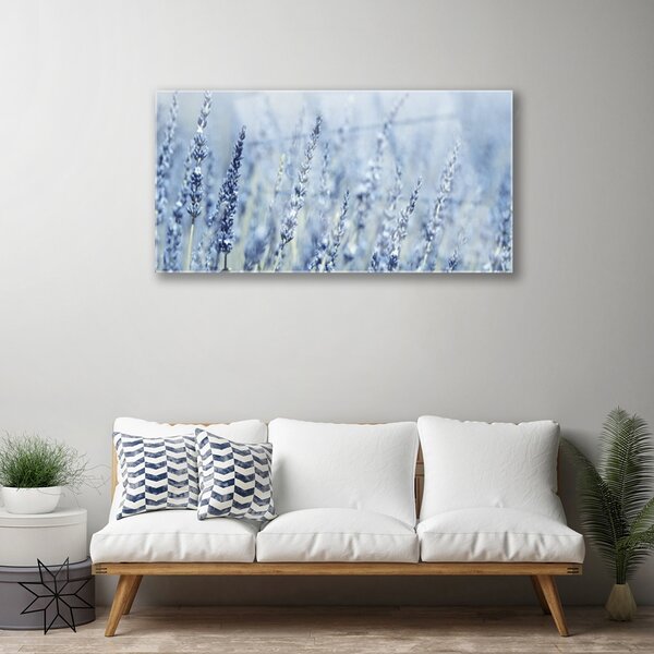 Skleneny obraz Kvety klasy lúka príroda 100x50 cm 2 Prívesky