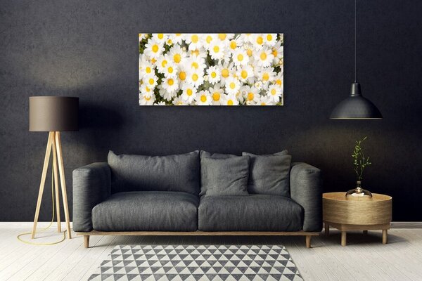 Skleneny obraz Sedmokrásky kvety 100x50 cm 2 Prívesky