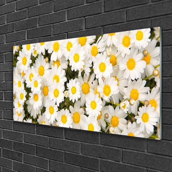 Skleneny obraz Sedmokrásky kvety 100x50 cm 2 Prívesky