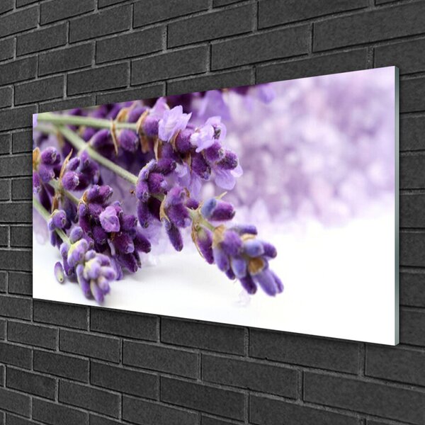 Skleneny obraz Kvety príroda rastlina 100x50 cm 2 Prívesky