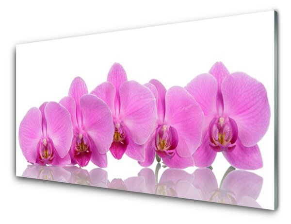 Sklenený obklad Do kuchyne Ružová orchidea kvety 100x50 cm