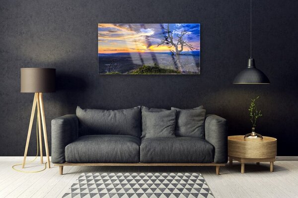 Skleneny obraz Strom zápas slnko 100x50 cm 2 Prívesky