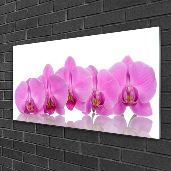 Skleneny obraz Ružová orchidea kvety 100x50 cm 2 Prívesky
