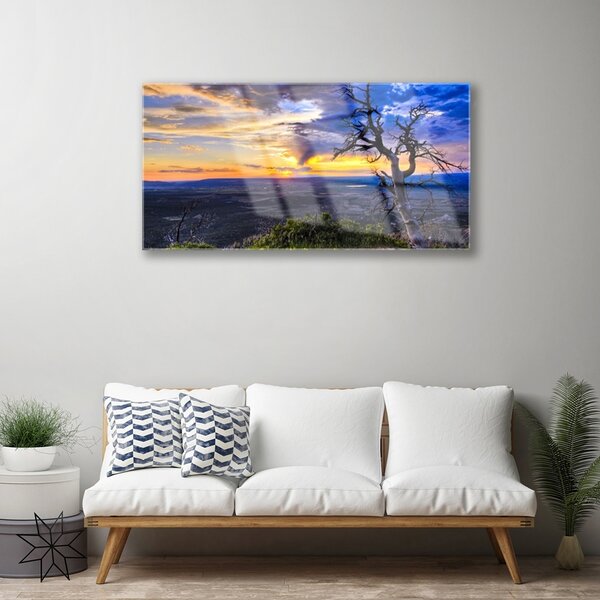Skleneny obraz Strom zápas slnko 100x50 cm 2 Prívesky