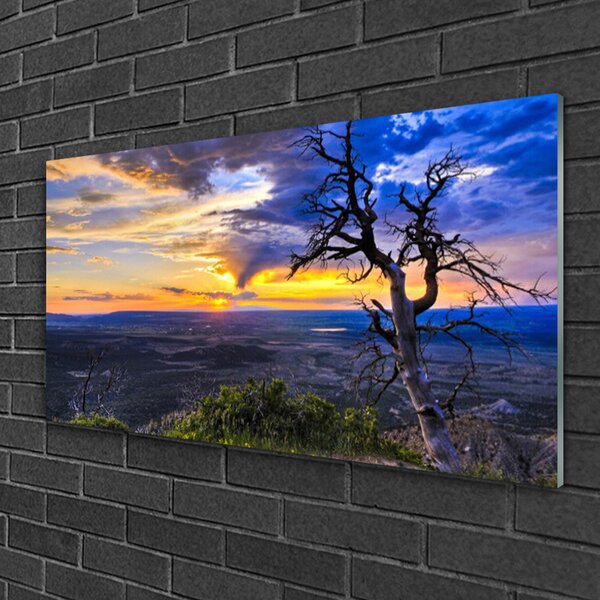 Skleneny obraz Strom zápas slnko 100x50 cm 2 Prívesky