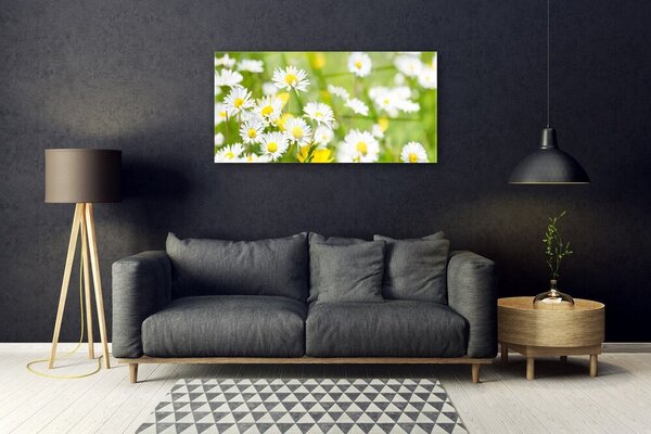 Skleneny obraz Sedmokráska kvet rastlina 100x50 cm 2 Prívesky