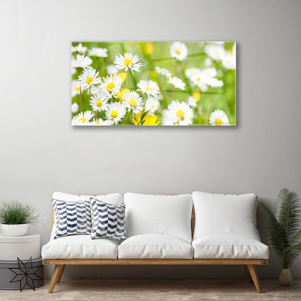 Skleneny obraz Sedmokráska kvet rastlina 100x50 cm 2 Prívesky