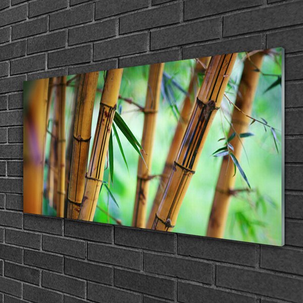 Obraz na skle Bambus príroda rastlina 100x50 cm 2 Prívesky
