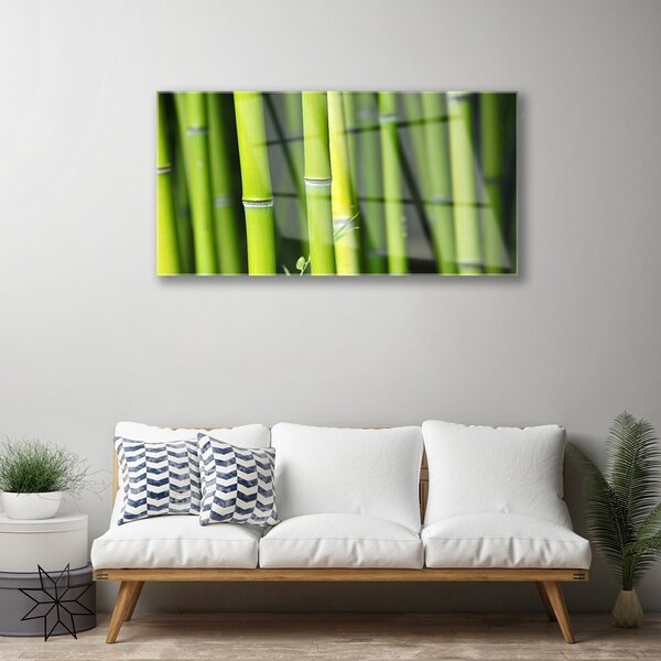 Obraz na skle Bambus príroda rastlina 100x50 cm 2 Prívesky
