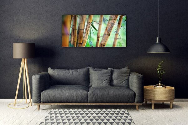 Obraz na skle Bambus príroda rastlina 100x50 cm 2 Prívesky