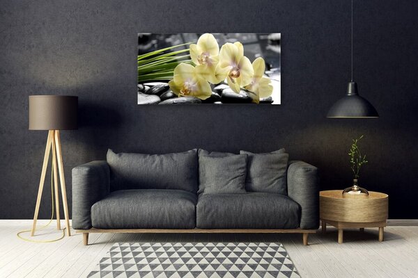 Obraz na skle Kvety rastlina príroda 100x50 cm 2 Prívesky