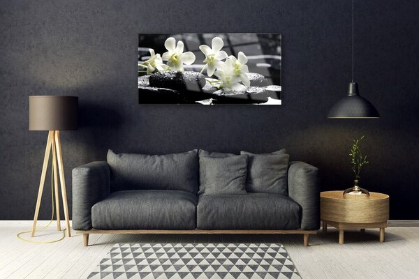 Obraz na skle Kvet kamene rastlina 100x50 cm 2 Prívesky