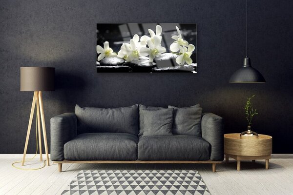 Obraz na skle Kvet kamene rastlina 100x50 cm 2 Prívesky