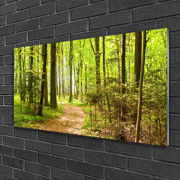 Obraz na skle Les príroda 100x50 cm 2 Prívesky