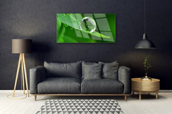 Obraz na skle List voda kvapka rastlina 100x50 cm 2 Prívesky