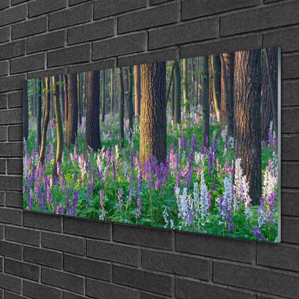 Obraz na skle Les príroda 100x50 cm 2 Prívesky