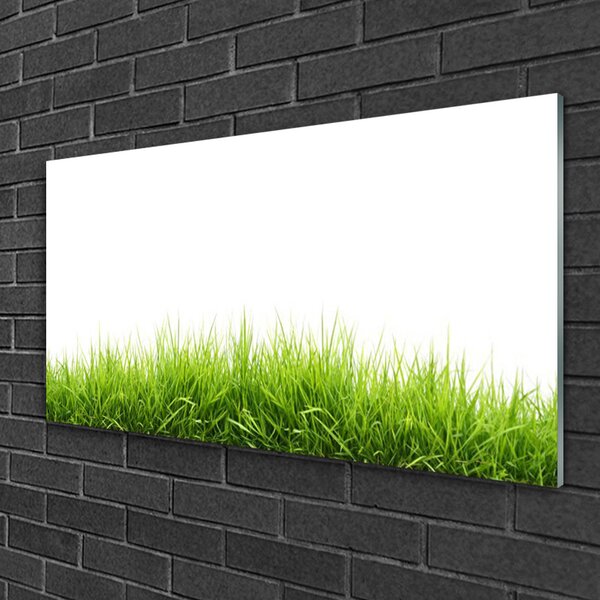 Obraz na skle Tráva príroda rastlina 100x50 cm 2 Prívesky