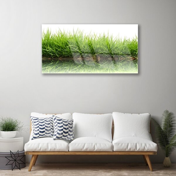 Obraz na skle Tráva voda príroda rastlina 100x50 cm 2 Prívesky