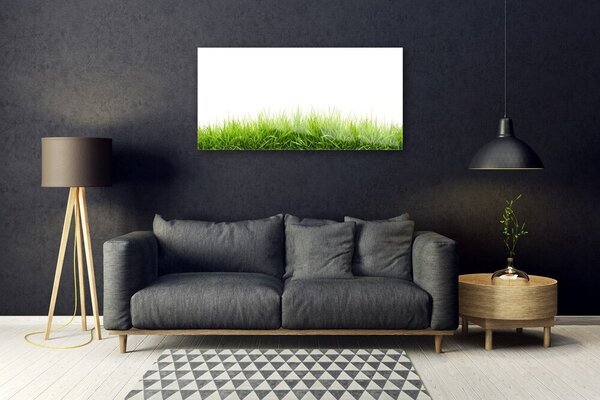 Obraz na skle Tráva príroda rastlina 100x50 cm 2 Prívesky
