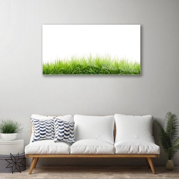 Obraz na skle Tráva príroda rastlina 100x50 cm 2 Prívesky
