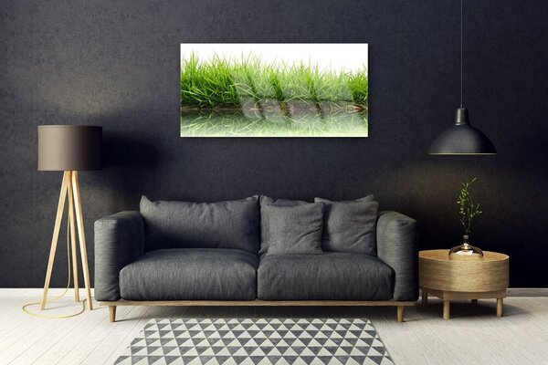 Obraz na skle Tráva voda príroda rastlina 100x50 cm 2 Prívesky