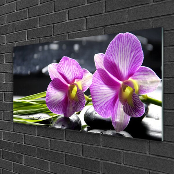 Obraz na skle Kvety rastlina príroda 100x50 cm 2 Prívesky