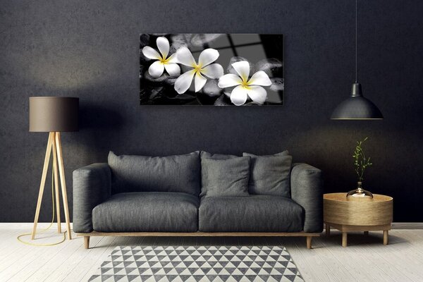 Obraz na skle Kvet kamene rastlina 100x50 cm 2 Prívesky