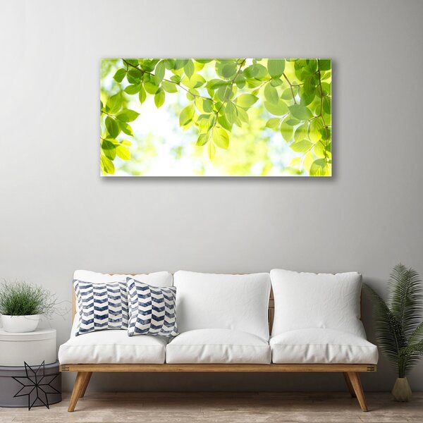 Obraz na skle Listy príroda rastlina 100x50 cm 2 Prívesky