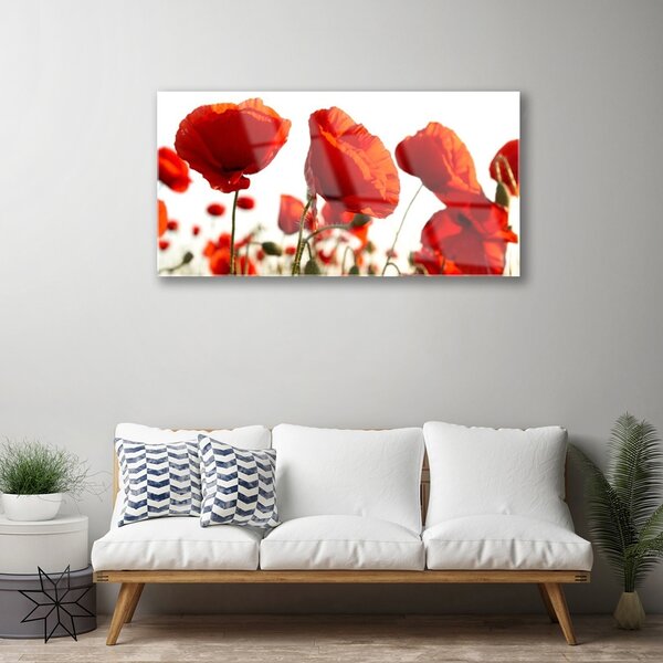 Obraz na skle Maky rastlina príroda 100x50 cm 2 Prívesky