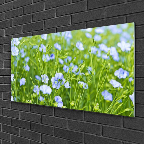 Obraz na skle Kvety tráva rastlina príroda 100x50 cm 2 Prívesky