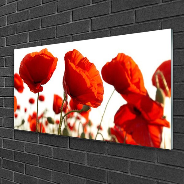 Obraz na skle Maky rastlina príroda 100x50 cm 2 Prívesky