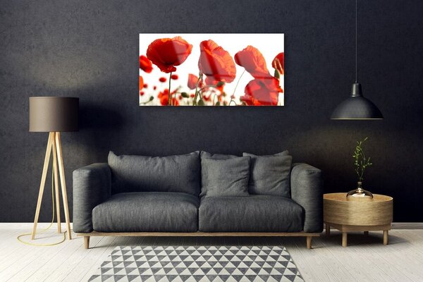 Obraz na skle Maky rastlina príroda 100x50 cm 2 Prívesky