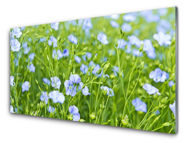 Obraz na skle Kvety tráva rastlina príroda 125x50 cm