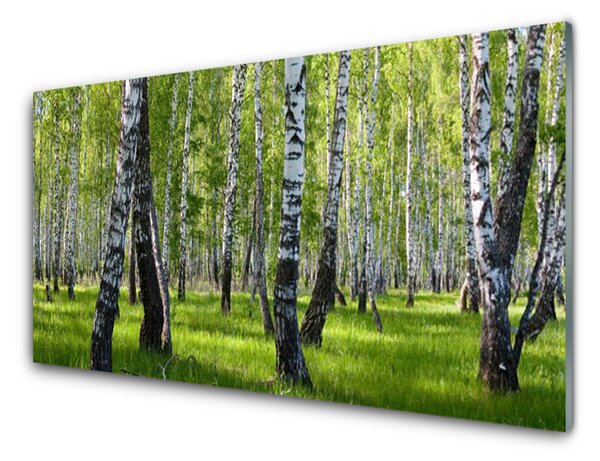 Nástenný panel  Les príroda 125x50 cm
